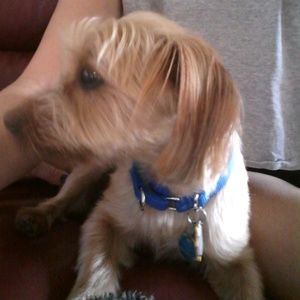 Meet your Posher, Eileen